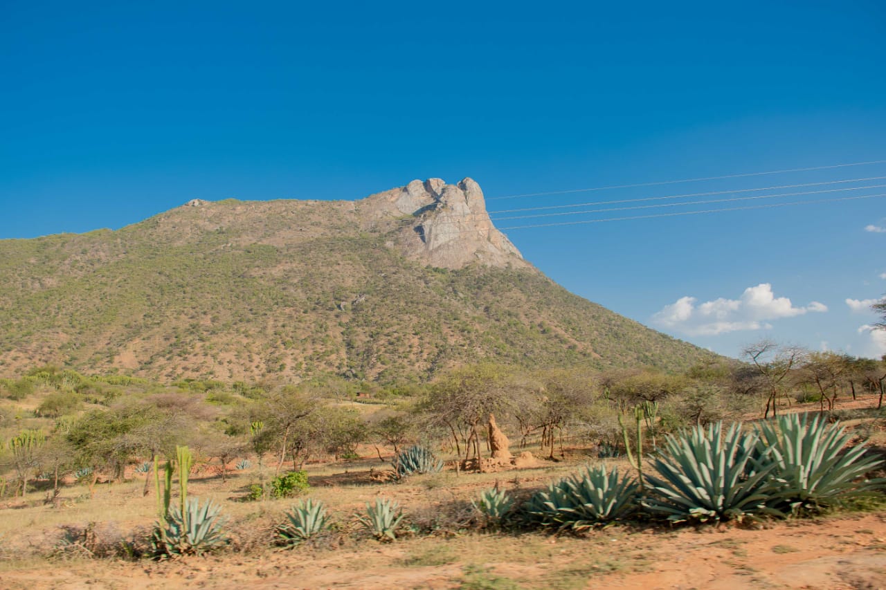 30th Colloquium of African Geology 2025